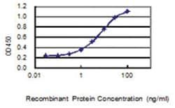 VSTM1, Mouse, Clone: 2E12, Abnova 100&mu;g; Unlabeled:Antibodies, Monoclonal