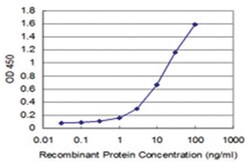 anti-MEF2BNB, Clone: 1B5, Abnova 100 &mu;g | Buy Online | Abnova | Fisher Scientific