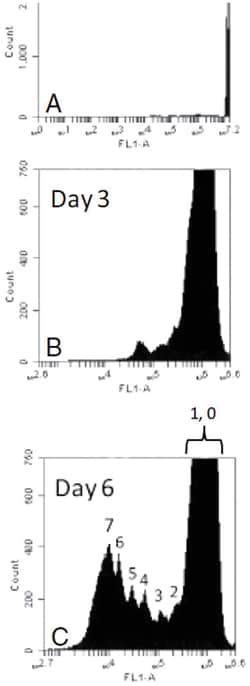 Abnova&trade;&nbsp;C Cell Division Assay Kit