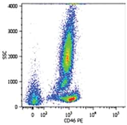 HPB-ALL, Mouse, Clone: MEM-258, Abnova 100&mu;g; Unlabeled:Anticuerpos