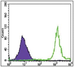 PARP1, Mouse, Clone: 7A10, Abnova 100&mu;L; Unlabeled:Antibodies, Monoclonal