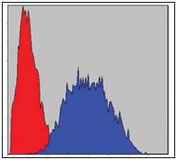 LIMS1, Mouse, Clone: 5G7, Abnova 100&mu;L; Unlabeled:Antibodies, Monoclonal