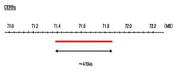Abnova™ CEN9q (DEAC) FISH Probe