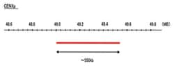 Abnova™ CENXp (FITC) FISH Probe