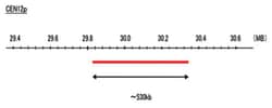Abnova™ CEN12p (DEAC) FISH Probe