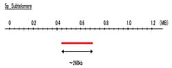 Abnova™ 5p Subtelomere (DEAC) FISH Probe