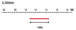Abnova™ 7p Subtelomere (DEAC) FISH Probe