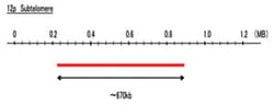 Abnova™ 12p Subtelomere (R6G) FISH Probe