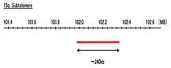 Abnova™ 15q Subtelomere (FITC) FISH-sonde