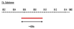 Abnova™ 17q Subtelomere (Cy5) FISH Probe