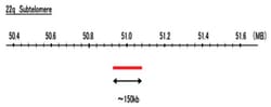 Abnova™ 22q Subtelomere (R6G) FISH Probe