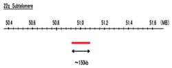 Abnova™ 22q Subtelomere (Cy5) FISH Probe