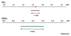 Abnova SRY/CENYq (Texas Red/FITC) FISH Probe 200 &mu;L | Buy Online | Abnova&trade; | Fisher Scientific