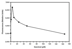 Abnova&trade;&nbsp;HAT Inhibitor Screening Assay Kit