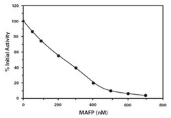 Abnova&trade;&nbsp;PAF Acetylhydrolase Inhibitor Screening Assay Kit