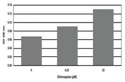 Abnova&trade;&nbsp;Steatosis Colorimetric Assay Kit