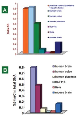 Abnova&trade;&nbsp;Hydroxymethylated DNA Quantification Kit (Colorimetric)
