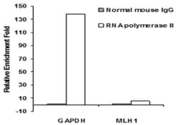 Abnova&trade;&nbsp;One-Step ChIP Kit