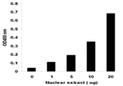 Abnova&trade;&nbsp;DNMT Activity/Inhibition Assay Ultra Kit (Colorimetric)