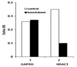 Abnova™ General Gene Knockdown Quantification Kit