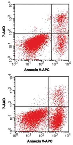 Abnova&trade;&nbsp;Annexin V-APC/7-AAD Apoptosis Kit (Fluorometric)