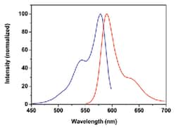Abnova™ Fluorescent Dye 581-C3.5 NHS Ester