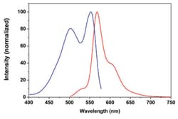 Abnova Fluorescent Dye 630-M Succinimidyl Ester (Yellow) 1 mg | Buy Online | Abnova&trade; | Fisher Scientific