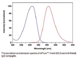 Abnova&trade;&nbsp;Fluorescent Dye 510-M Streptavidin