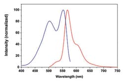 Abnova&trade;&nbsp;Fluoreszenzfarbstoff 630-M &ndash; Streptavidin