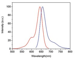 Abnova Fluorescent Dye 633-I Phalloidin 300 Reactions | Buy Online | Abnova&trade; | Fisher Scientific