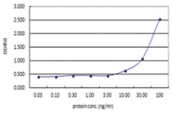 ACTN4, Human, Matched Antibody Pair (AP45), Abnova&trade;