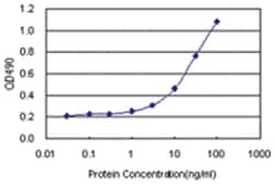 anti-ACY1 Ab-1 Matched Antibody Pair, Abnova&trade;