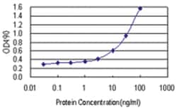 anti-AK1 Ab-6 Matched Antibody Pair, Abnova&trade;