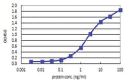 anti-AKT2, Human, Matched Antibody Pair, Abnova™