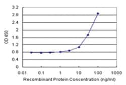 anti-ANXA5 Matched Antibody Pair, Ab-1, Abnova