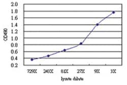 anti-FASLG Matched Antibody Pair, Abnova™