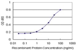 anti-ARHGDIA Ab-1 Matched Antibody Pair, Abnova™