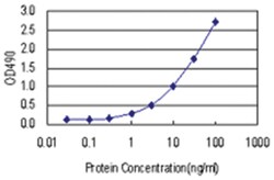 anti-ATF1 Matched Antibody Pair, Abnova 1 Set, Unlabeled:Antibodies, Monoclonal/Polyclonal