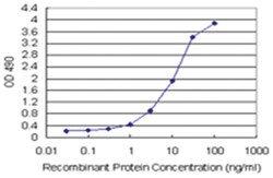 anti-BID Matched Antibody Pair, Ab-2, Abnova