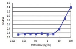anti-C3, Human, Matched Antibody Pair, Abnova&trade;