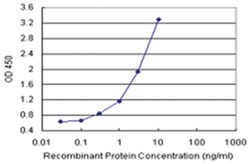 anti-CAPS Matched Antibody Pair, Abnova
