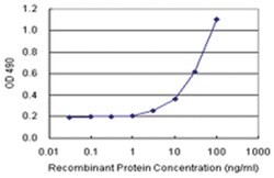 anti-CCNE1 Matched Antibody Pair, Abnova