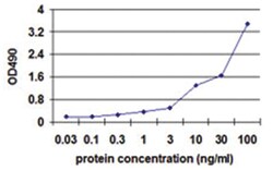 CD19, Human, Matched Antibody Pair (AP42), Abnova 1 Set:Antibodies