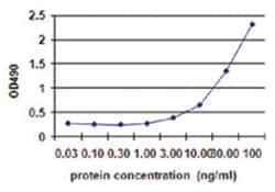 anti-CD80 Matched Antibody Pair, Abnova™