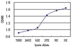 anti-CD86 Ab-2 Matched Antibody Pair, Abnova™