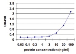 anti-CD70, Human, Matched Antibody Pair, Abnova™
