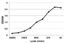 anti-CD79B, Human, Matched Antibody Pair, Abnova™