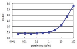 anti-CDX4, Human, Matched Antibody Pair, Abnova™