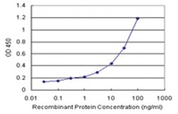 anti-CEBPG Matched Antibody Pair, Abnova