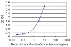 anti-CHN1 Matched Antibody Pair, Abnova